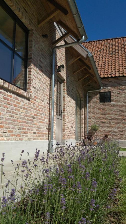 B&B Muntershof Velzeke-Ruddershove Exterior foto