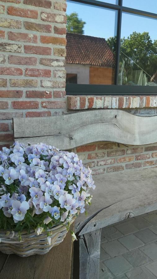 B&B Muntershof Velzeke-Ruddershove Exterior foto