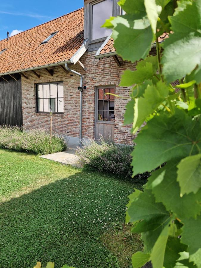 B&B Muntershof Velzeke-Ruddershove Exterior foto